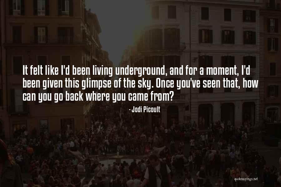 Pashupatinath Quotes By Jodi Picoult Pashupatinath Quotes By Jodi Picoult