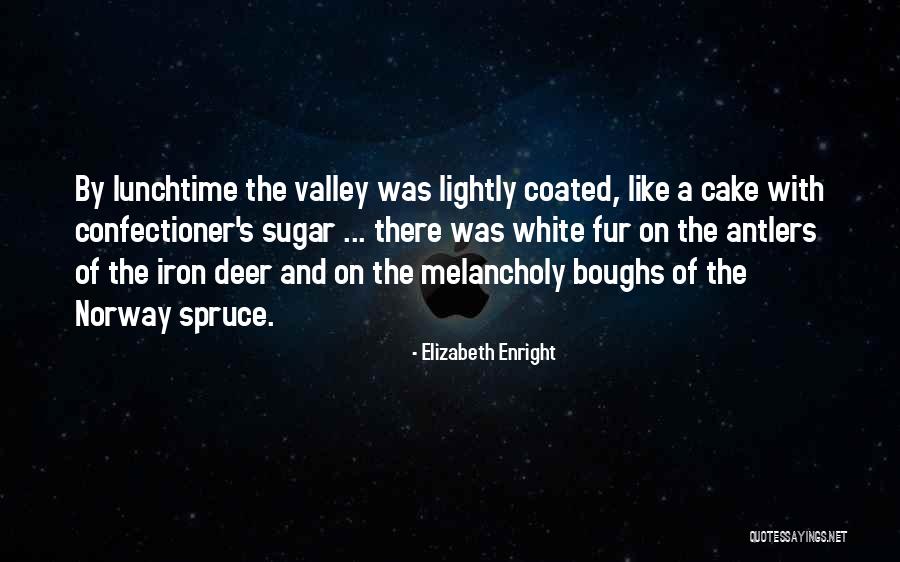 Paskutines Quotes By Elizabeth Enright Paskutines Quotes By Elizabeth Enright