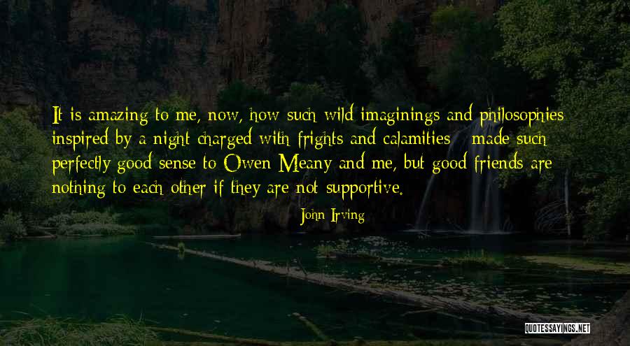 Paslanmaz Celik Quotes By John Irving Paslanmaz Celik Quotes By John Irving