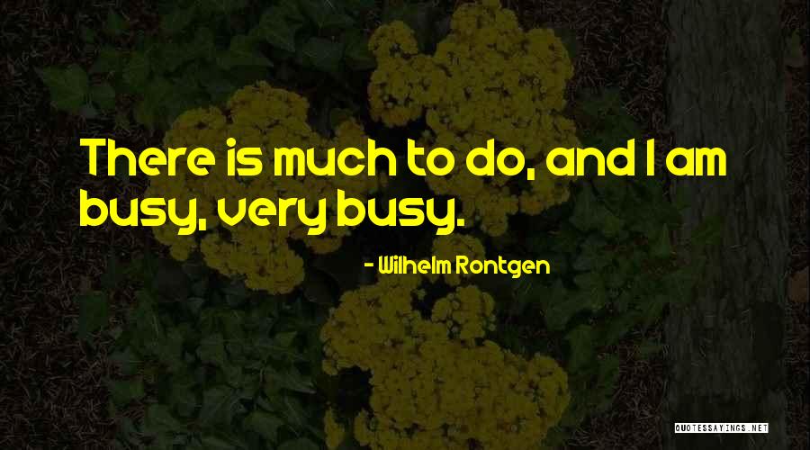 Paslaugos Vilnius Quotes By Wilhelm Rontgen Paslaugos Vilnius Quotes By Wilhelm Rontgen