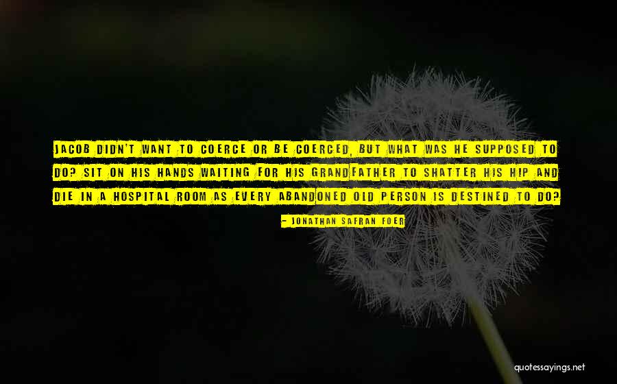 Pasmanda Quotes By Jonathan Safran Foer Pasmanda Quotes By Jonathan Safran Foer