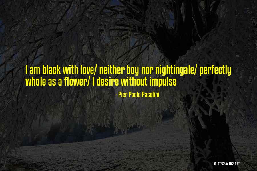 Pasolini Love Quotes By Pier Paolo Pasolini Pasolini Love Quotes By Pier Paolo Pasolini