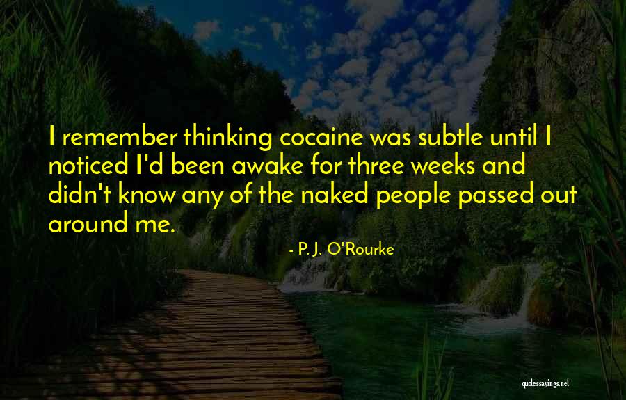 Pass The Torch Quotes By P. J. O'Rourke Pass The Torch Quotes By P. J. O'Rourke