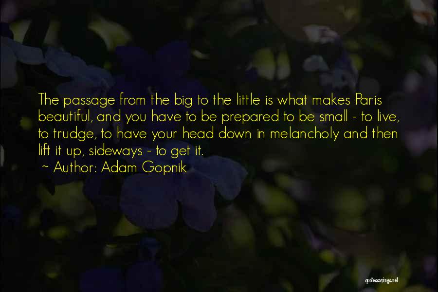 Passage Quotes By Adam Gopnik