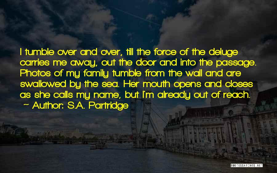 Passage Wall Quotes By S.A. Partridge