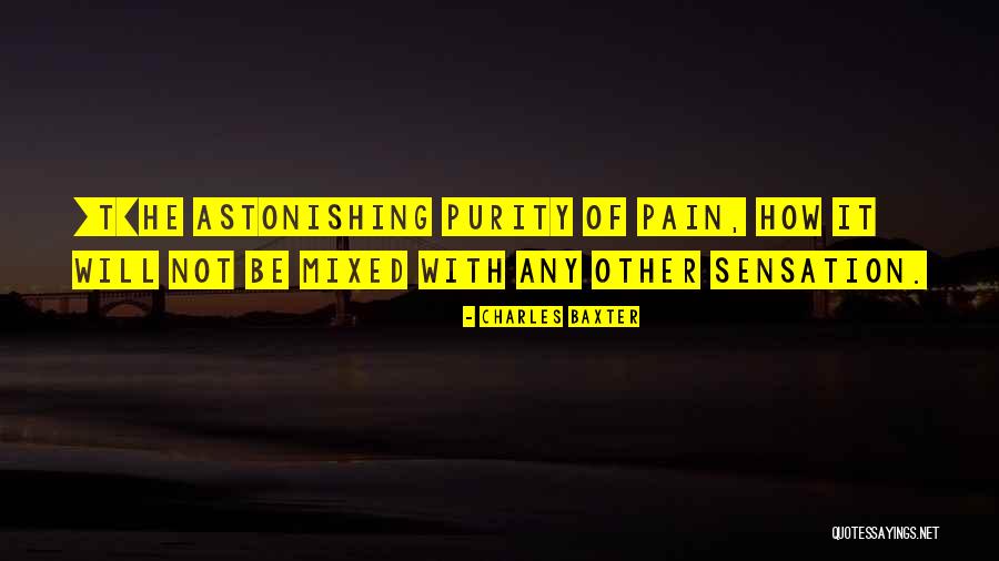 Passamano Quotes By Charles Baxter Passamano Quotes By Charles Baxter