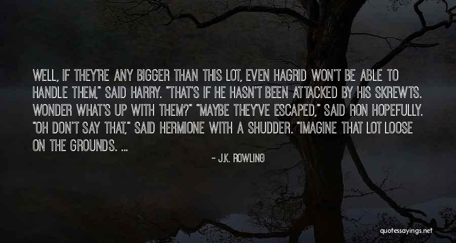 Passanantes Food Quotes By J.K. Rowling Passanantes Food Quotes By J.K. Rowling