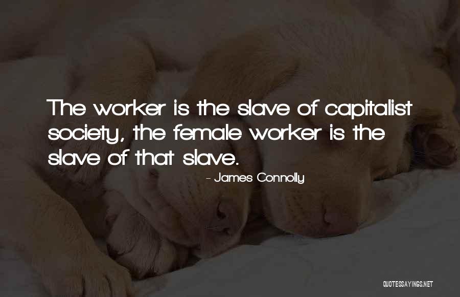 Passau Christmas Quotes By James Connolly Passau Christmas Quotes By James Connolly