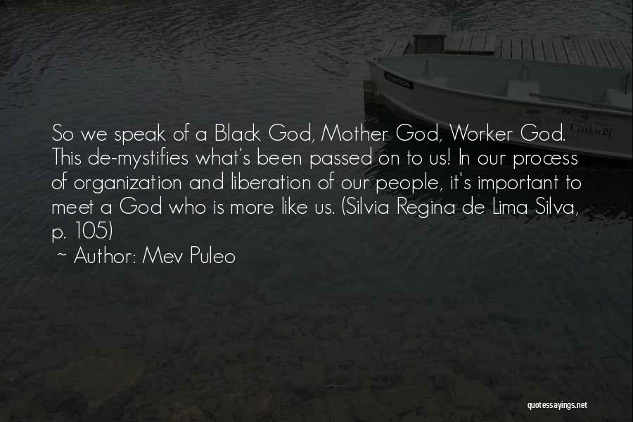 Passed Mother Quotes By Mev Puleo