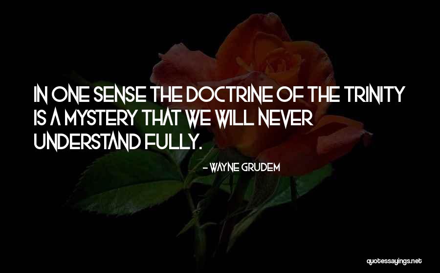 Passeios De Balao Quotes By Wayne Grudem Passeios De Balao Quotes By Wayne Grudem