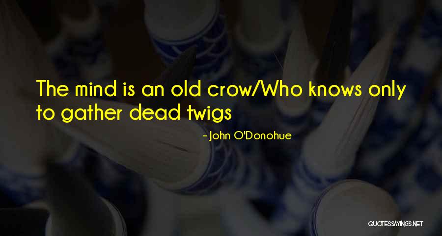 Passero Arlington Quotes By John O'Donohue Passero Arlington Quotes By John O'Donohue
