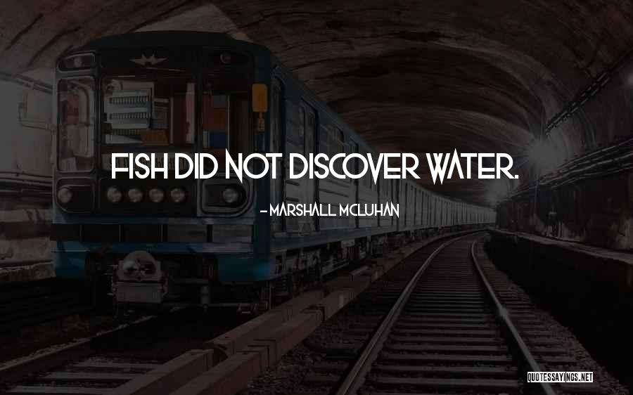 Passier Saddles Quotes By Marshall McLuhan Passier Saddles Quotes By Marshall McLuhan
