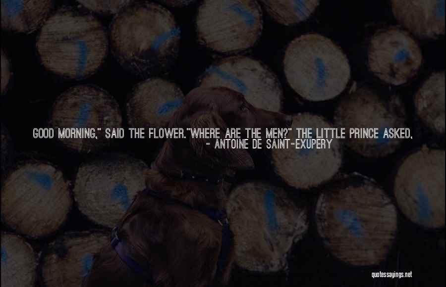 Passing Away Quotes By Antoine De Saint-Exupery Passing Away Quotes By Antoine De Saint-Exupery