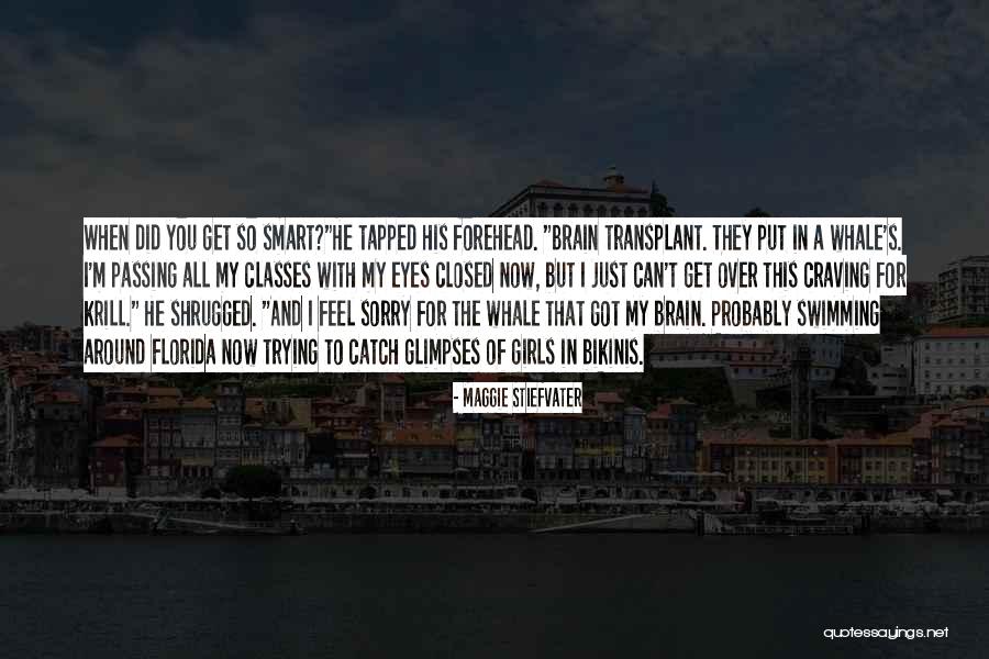 Passing Classes Quotes By Maggie Stiefvater Passing Classes Quotes By Maggie Stiefvater