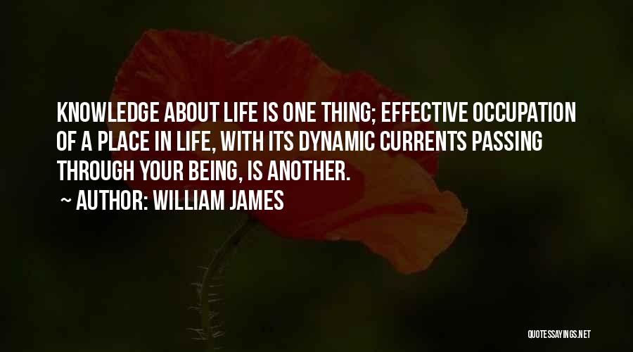 Passing Knowledge Quotes By William James