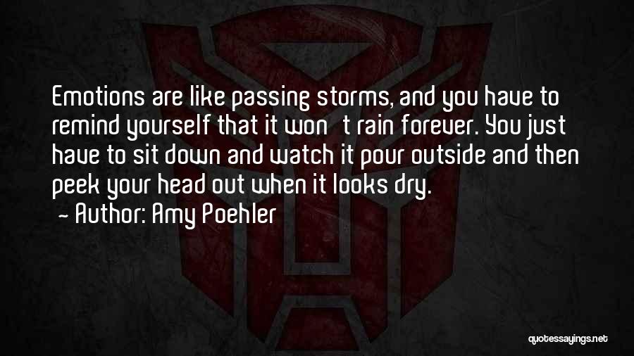 Passing Storms Quotes By Amy Poehler