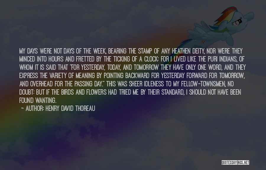 Passing The Time Quotes By Henry David Thoreau