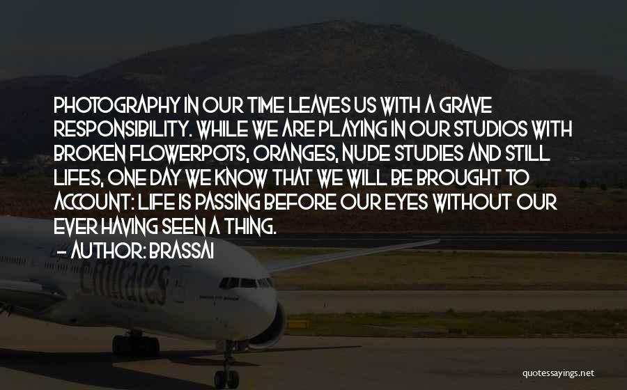 Passing Time Quotes By Brassai