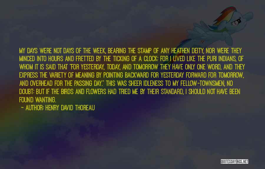 Passing Time Quotes By Henry David Thoreau