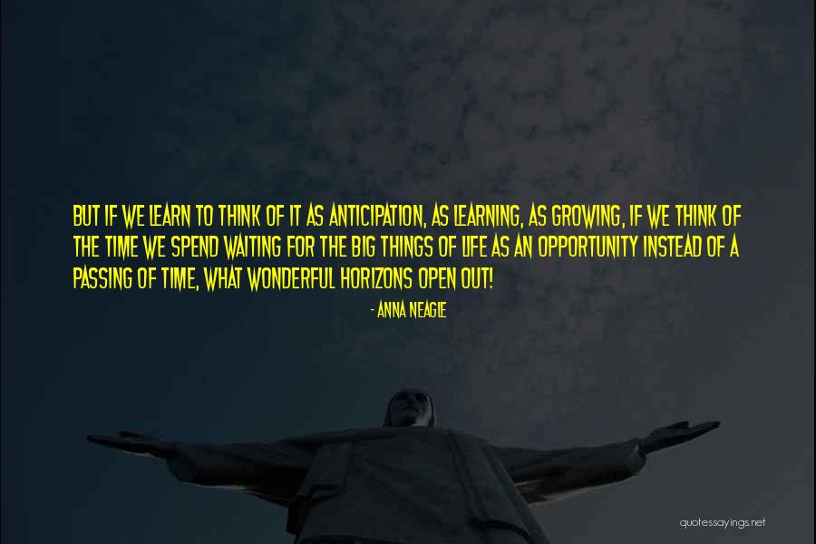 Passing Up An Opportunity Quotes By Anna Neagle Passing Up An Opportunity Quotes By Anna Neagle