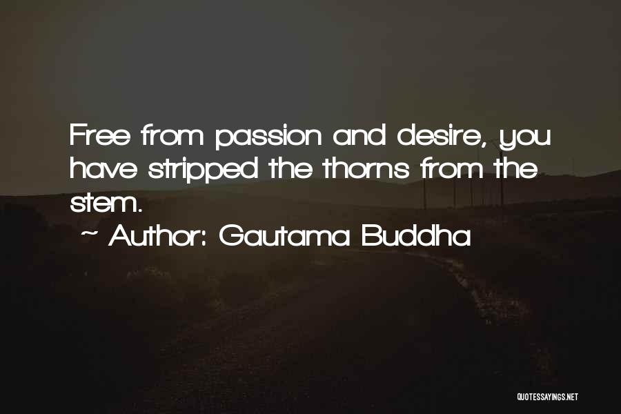 Passion And Desire Quotes By Gautama Buddha