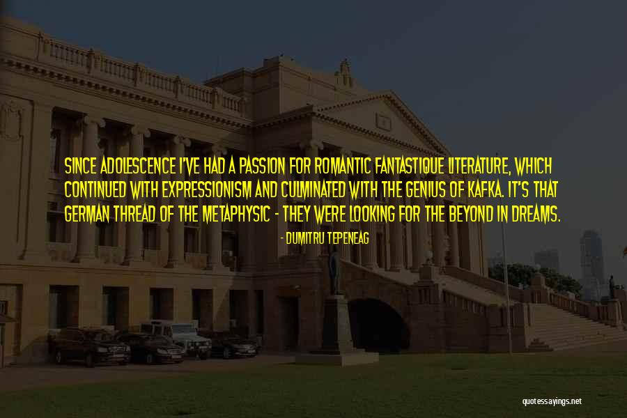 Passion And Dreams Quotes By Dumitru Tepeneag Passion And Dreams Quotes By Dumitru Tepeneag