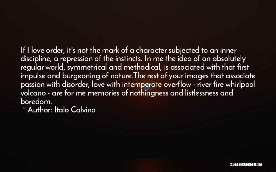 Passion And Fire Quotes By Italo Calvino