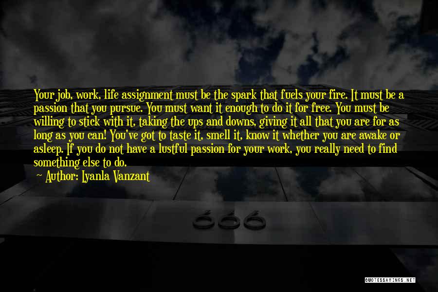 Passion And Fire Quotes By Iyanla Vanzant