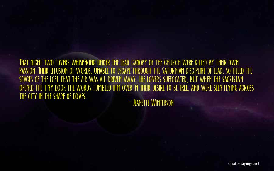 Passion Driven Quotes By Jeanette Winterson Passion Driven Quotes By Jeanette Winterson