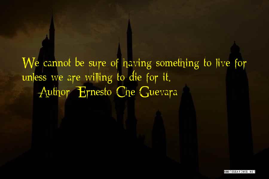 Passion For Something Quotes By Ernesto Che Guevara