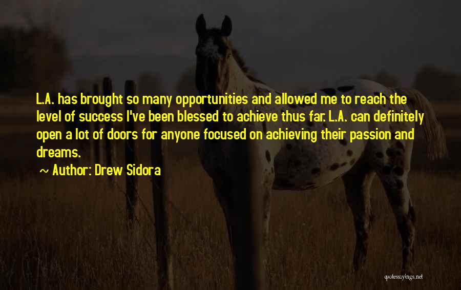 Passion For Success Quotes By Drew Sidora