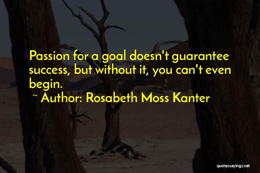 Passion For Success Quotes By Rosabeth Moss Kanter