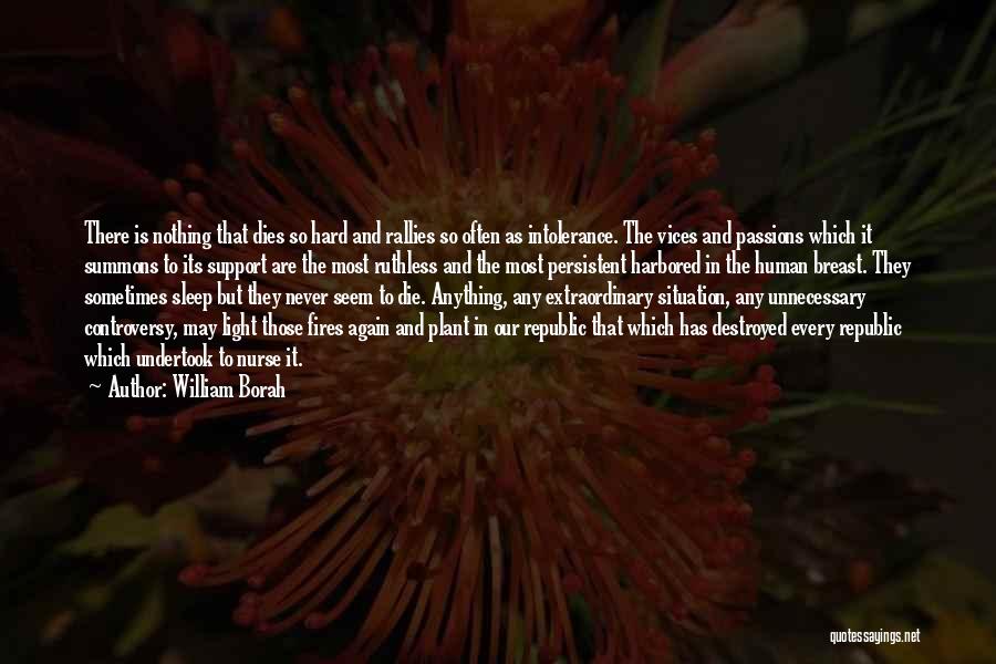 Passion Never Dies Quotes By William Borah