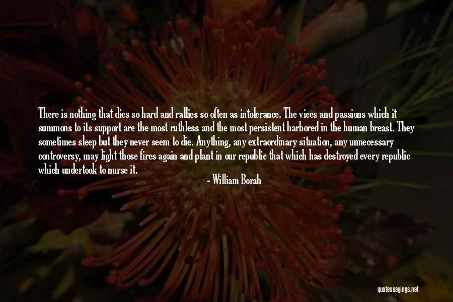 Passion Never Dies Quotes By William Borah