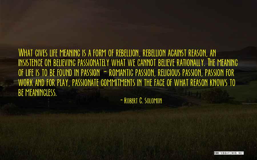 Passion Of Work Quotes By Robert C. Solomon Passion Of Work Quotes By Robert C. Solomon