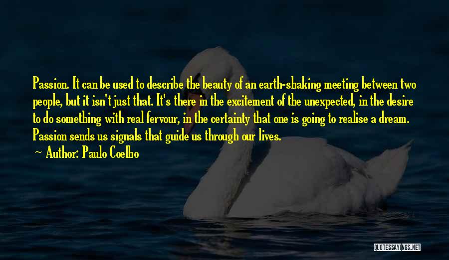 Passion To Do Something Quotes By Paulo Coelho
