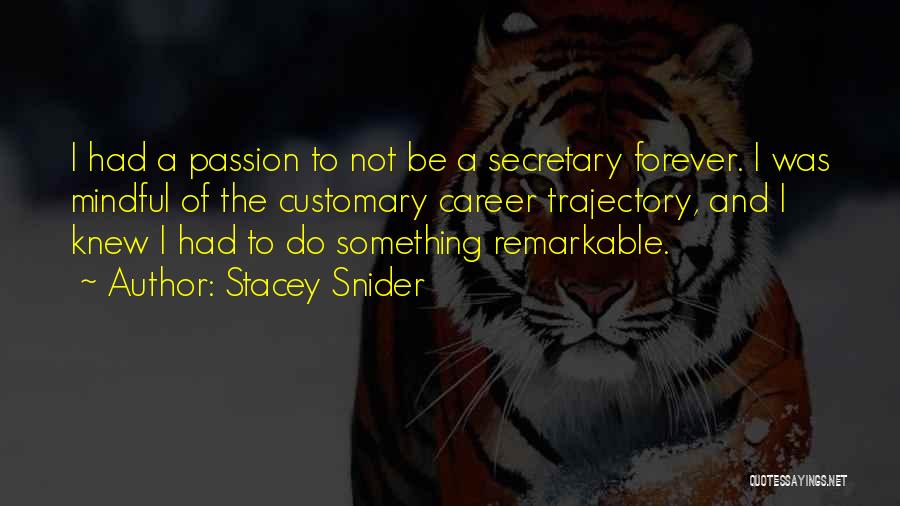 Passion To Do Something Quotes By Stacey Snider