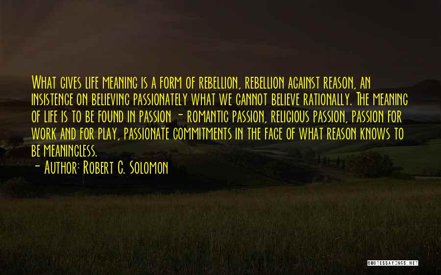 Passionate Work Quotes By Robert C. Solomon