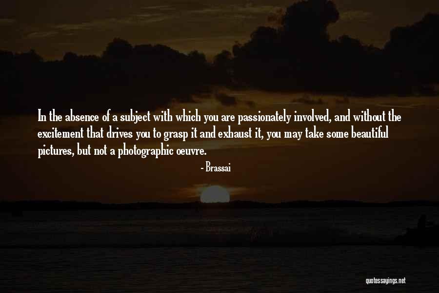 Passionately Quotes By Brassai Passionately Quotes By Brassai