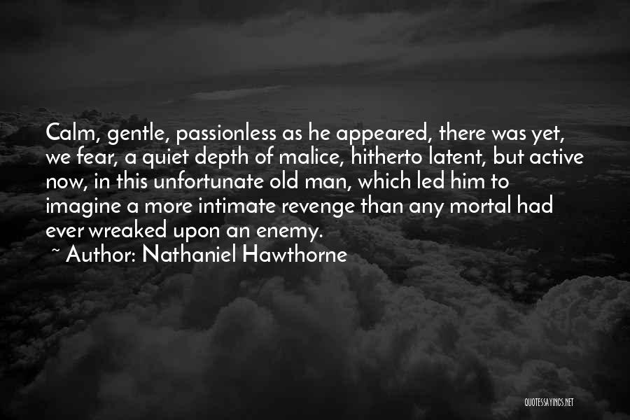 Passionless Quotes By Nathaniel Hawthorne