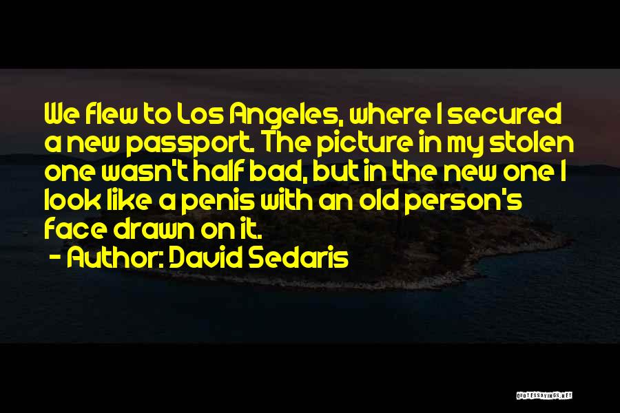 Passport Quotes By David Sedaris