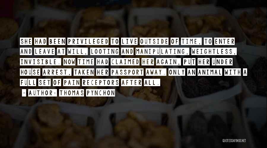 Passport Quotes By Thomas Pynchon