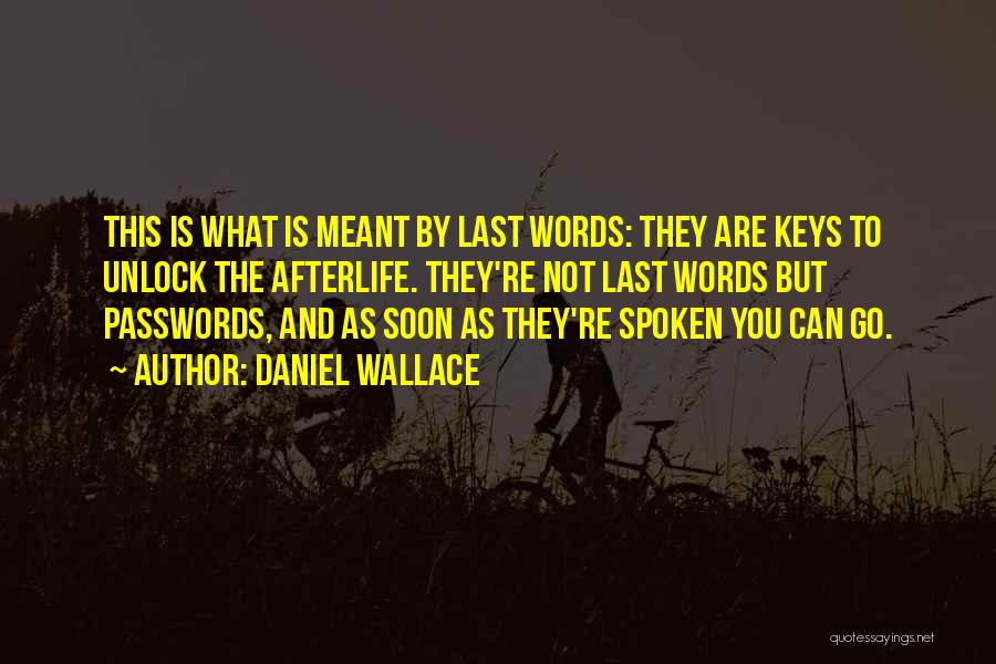 Passwords Quotes By Daniel Wallace