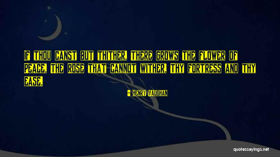 Passy Quotes By Henry Vaughan Passy Quotes By Henry Vaughan
