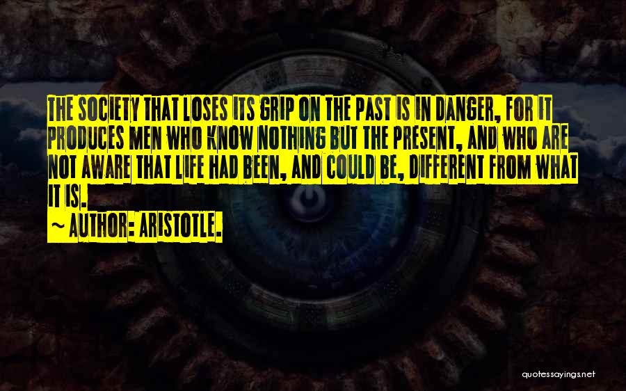 Past And Present Life Quotes By Aristotle.