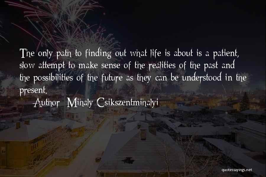 Past And Present Life Quotes By Mihaly Csikszentmihalyi