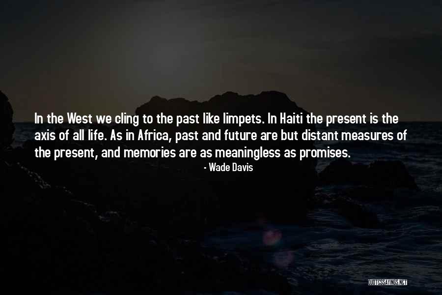 Past And Present Life Quotes By Wade Davis