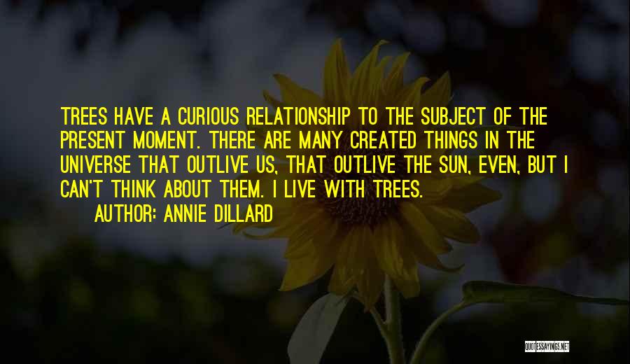 Past And Present Relationship Quotes By Annie Dillard