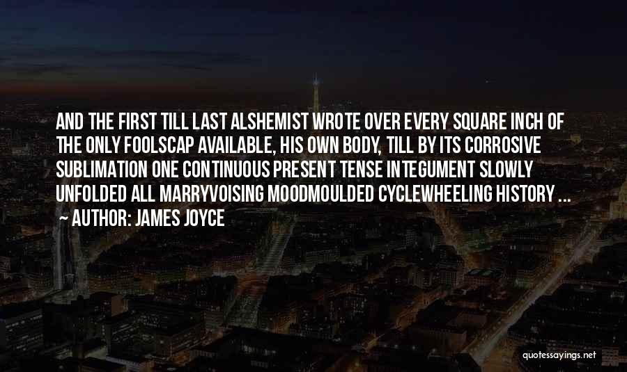 Past And Present Tense Quotes By James Joyce