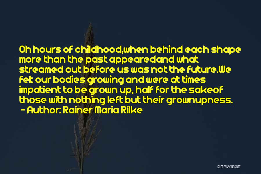 Past Behind Us Quotes By Rainer Maria Rilke
